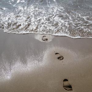 Out of the Pacific