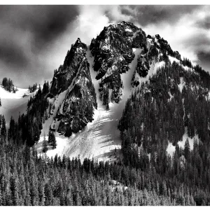 Mt. Rainier National Park