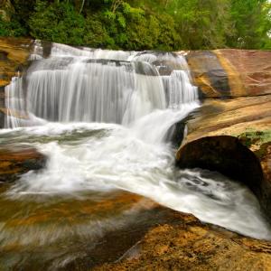 Bird Rock Falls