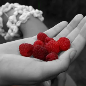 Ripe Raspberries