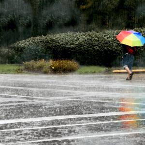 Umbrella Walk
