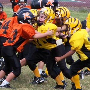 Go Tigers!