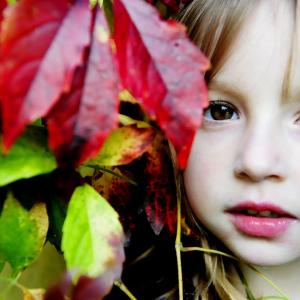 The Colors of Fall