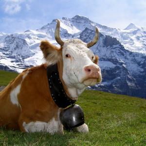 In the Alps