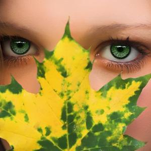 Shades of Autumn