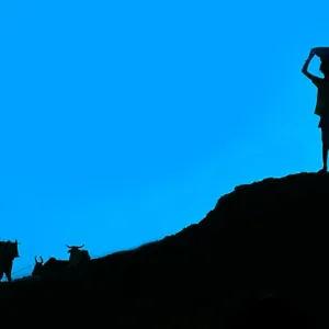 A Village of Rajasthan