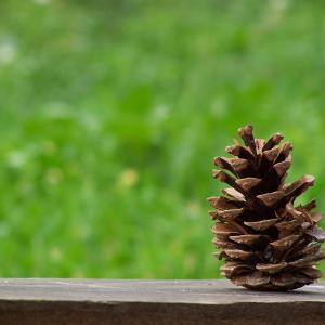 Cone on Hisar Hill