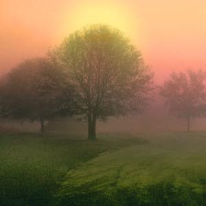 Fantasy Autumn