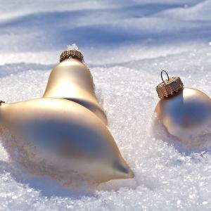 Trio in Snow