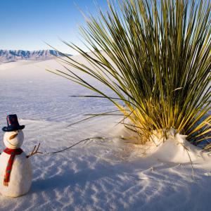 Sandy Snowman