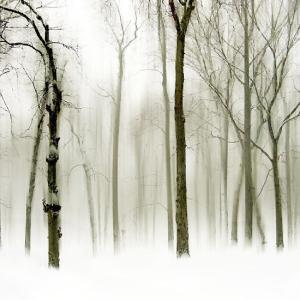 Shiver