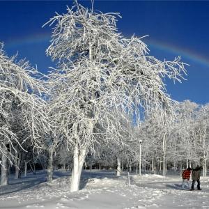A Walk in Fairyland
