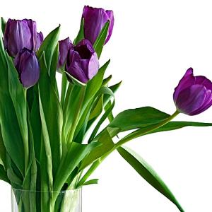 Spring Bouquet