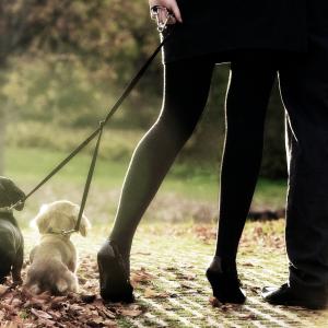 Walking in the Park