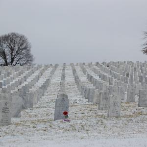 Veterans of Wars