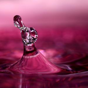 Water Dancer