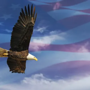 Our Nation's Symbol