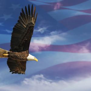 Our Nation's Symbol