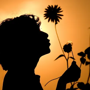 Silhouette at Sunset