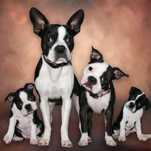Family Portrait