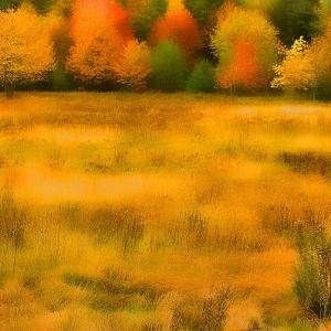 Autumn Dreams