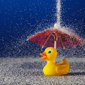 Ducky Downpour