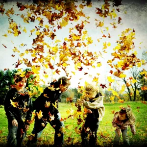 Fall Fun