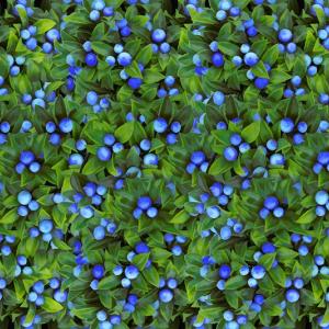Blueberries