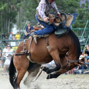 Rodeo Fun!