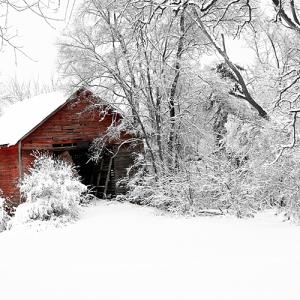The Red Shed