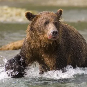 Katmai National Park 