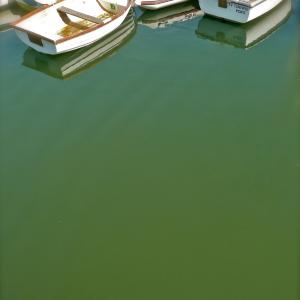 Quiet Moorings