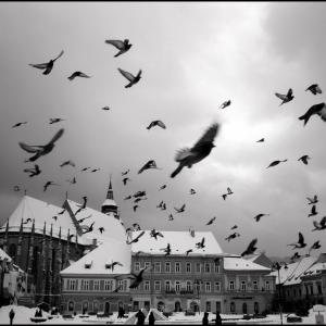Brasov