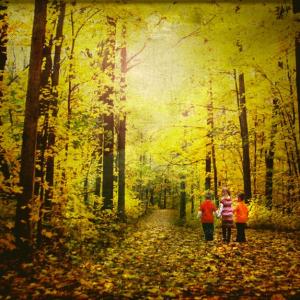 On Golden Trails