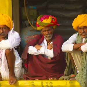 Morning in Rajasthan