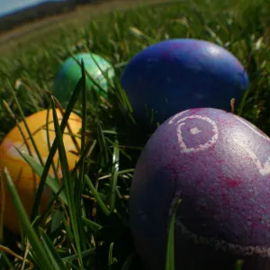 Easter Egg Hunt