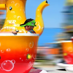 Tea Cup Merry-go-round