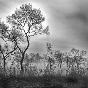 Foggy Islamabad