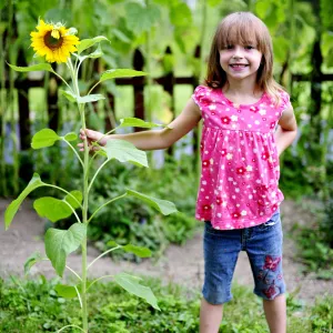 Sunflower Kid