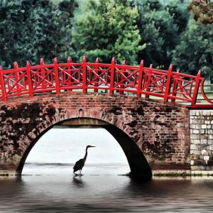 Under the Bridge