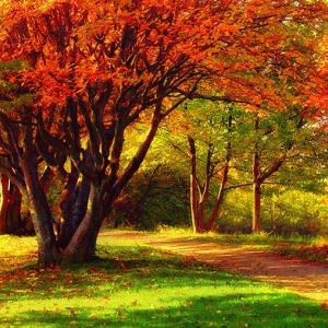 Glade