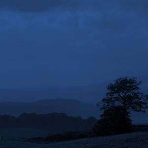 Misty Blue