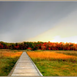 Cheesequake State Park