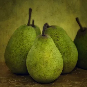 Autumn Pears