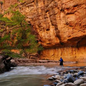 Hiking in Zion