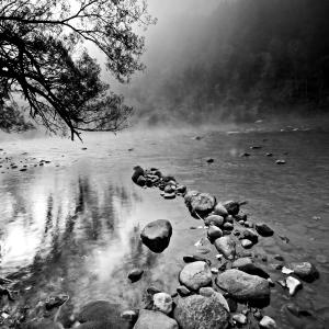 Morning Mist