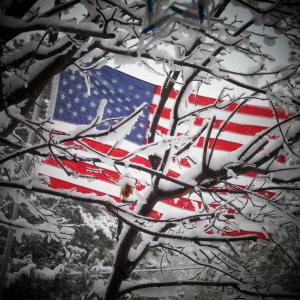 Morning Snow