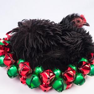 Jingle Bells