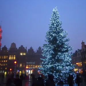 Grand'Place Christmas