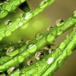 Droplets